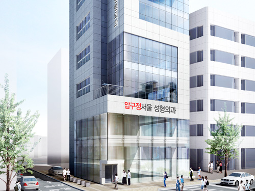 Apgujeong Seoul Plastic Surgery