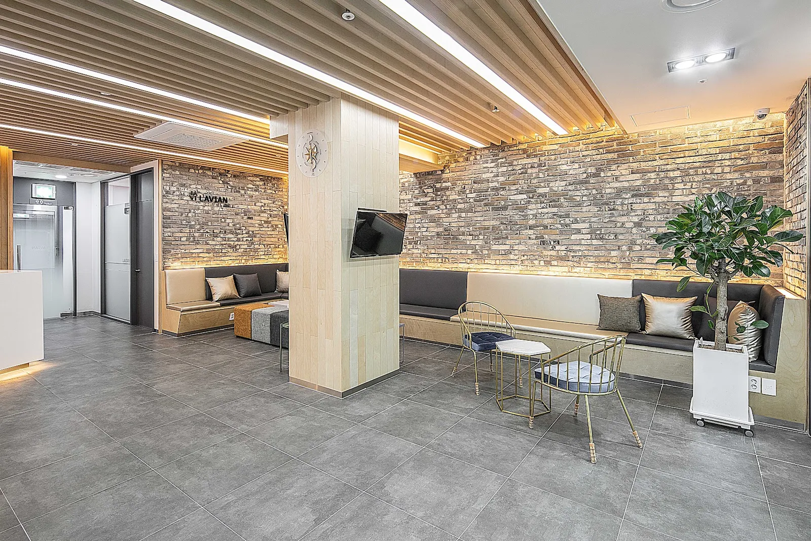 Lavian Plastic Surgery Clinic