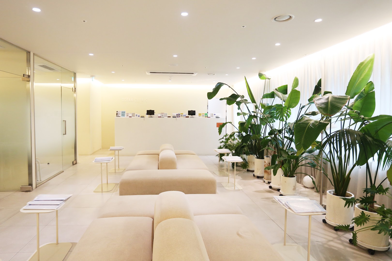 Ocean Clinic Gangnam