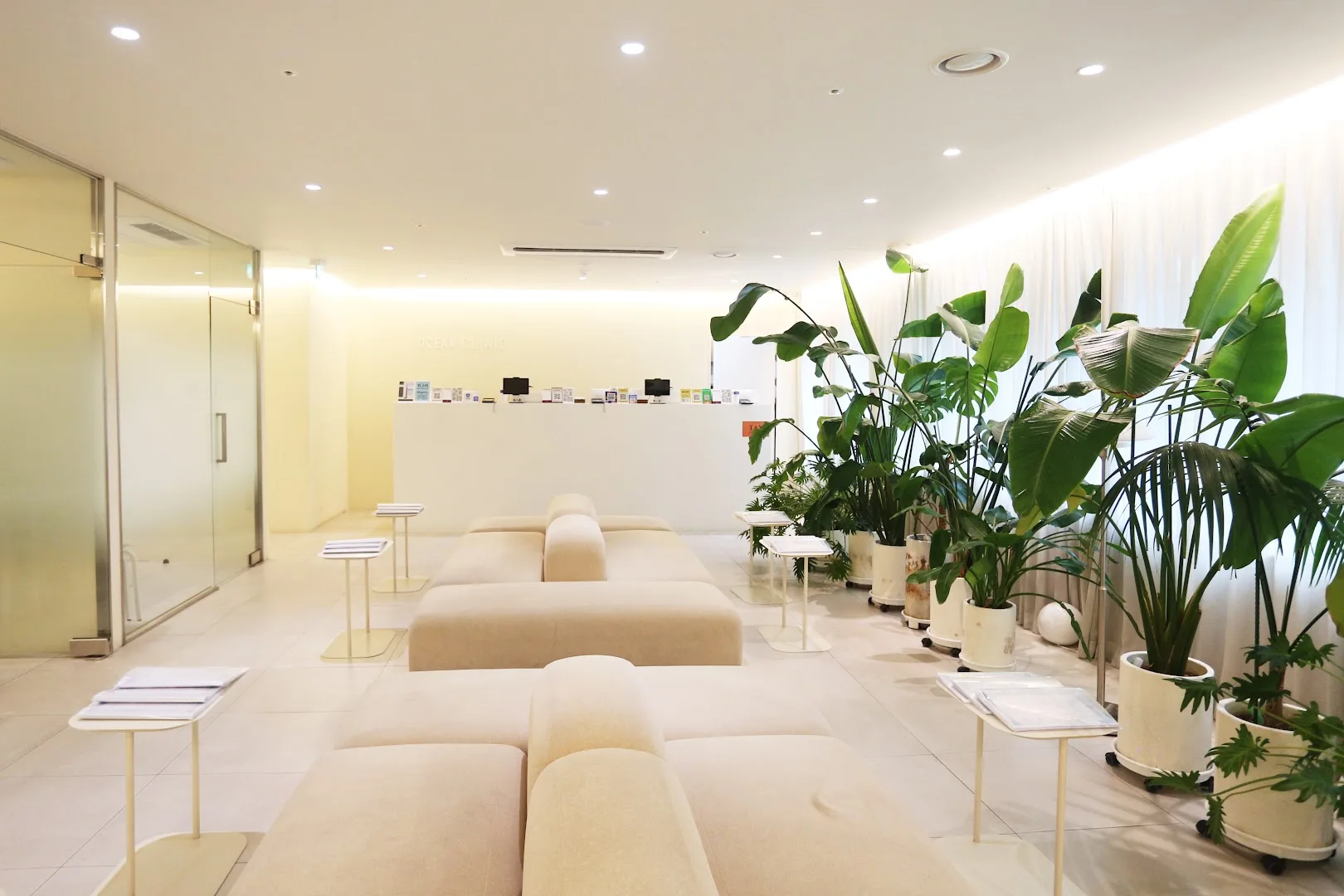 Ocean Clinic Gangnam