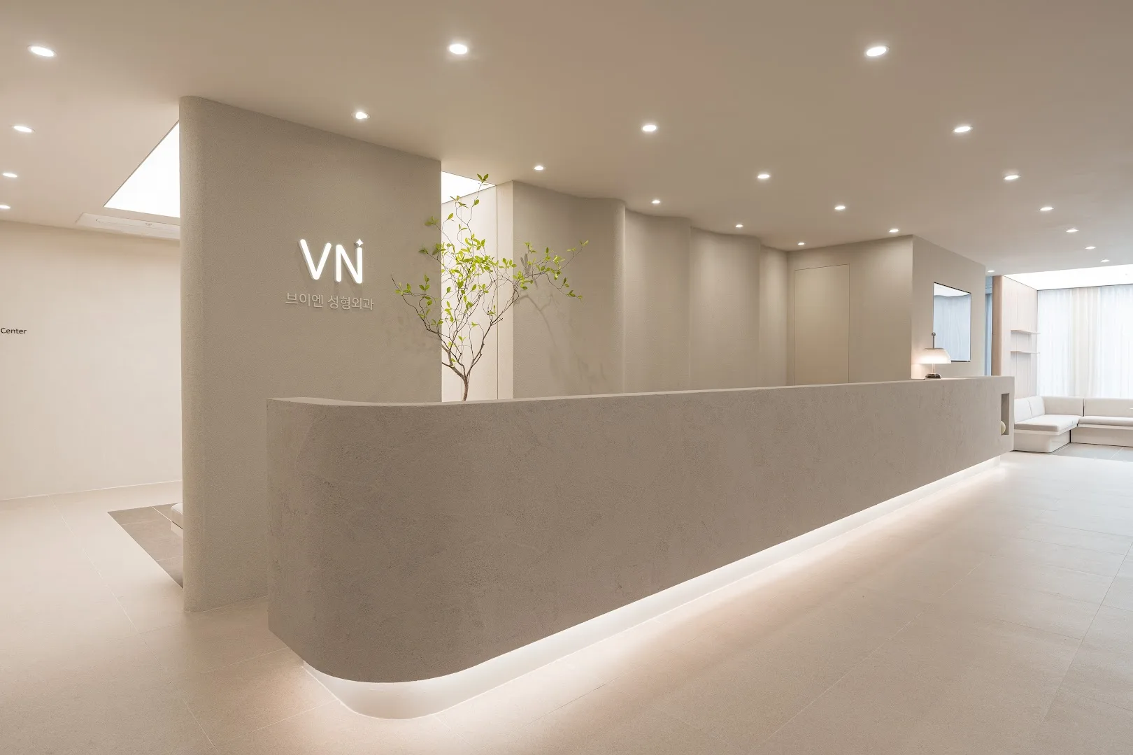 VN Plastic Surgery